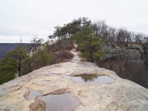 The Auxier Ridge Red River Gorge Hiking