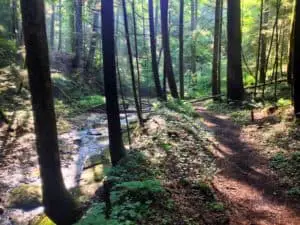 The Buck Trail Red River Gorge Hiking