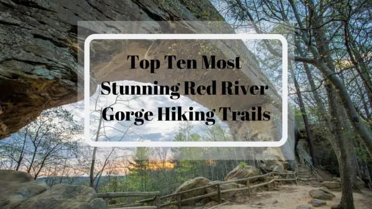 10 Best Hikes in Red River Gorge Hiking Trails