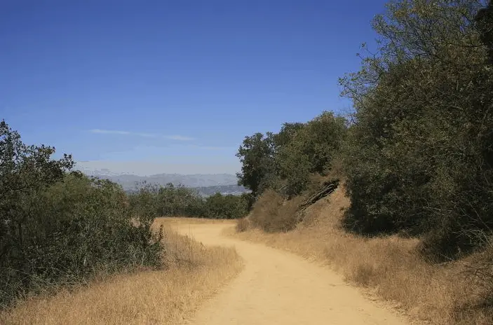Hiking in Los Angeles - Wilacre Park