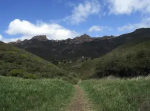 Hiking In Los Angeles - The Grotto Trail, Malibu