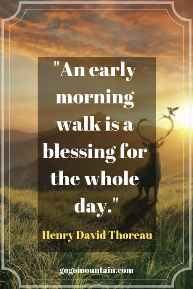An early morning walk is a blessing for the whole day._ Henry David Thoreau