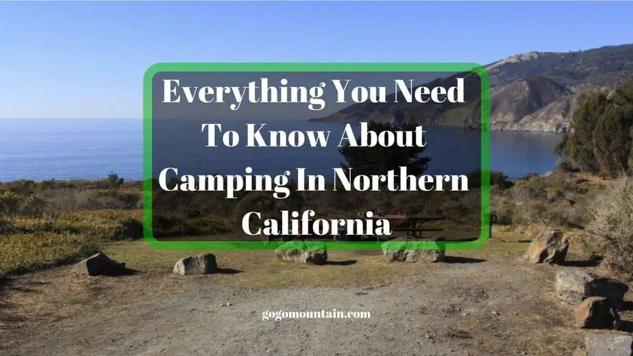 Everything-You-Need-To-Know-About-Camping-In-Northern-California