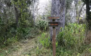 Camping in Florida - Potts Preserve