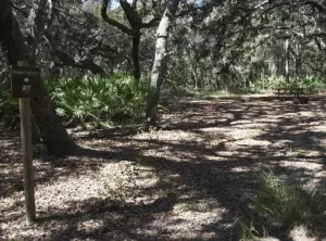 Camping in Florida - Serenova Tract