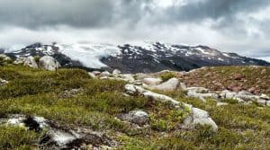 Top 5 Picks Of The Best Long Distance Hiking Trails in the USA