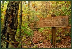 Top 5 Picks Of The Best Long Distance Hiking Trails in the USA