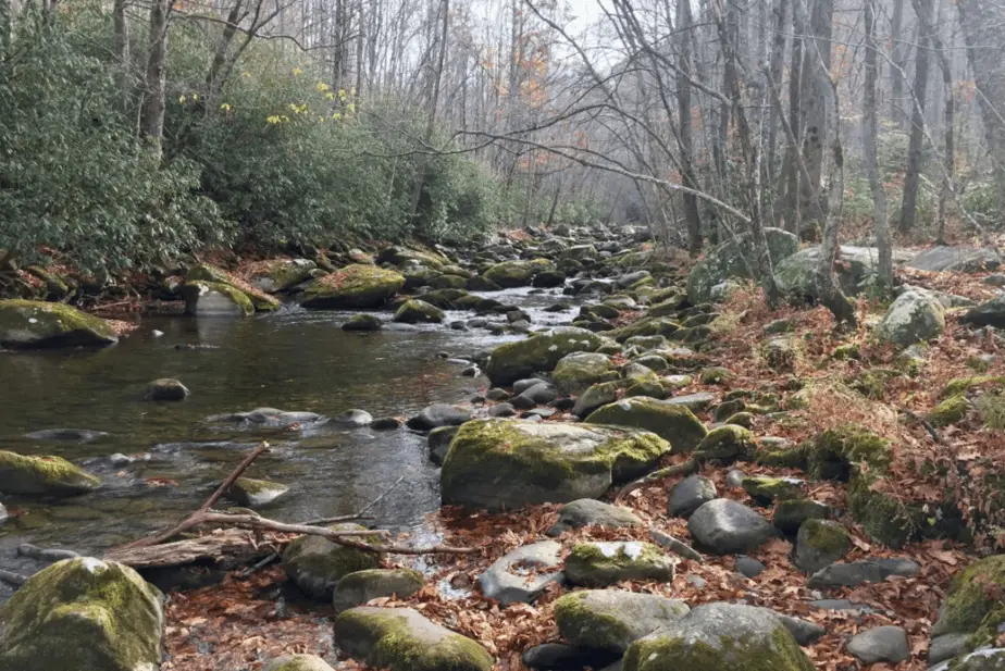 The Top 5 Best Hiking Trails In The Smoky Mountains For Amature Day Hikers