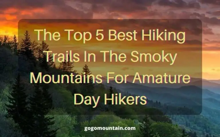 The Top 5 Best Hiking Trails In The Smoky Mountains For Amature Day Hikers
