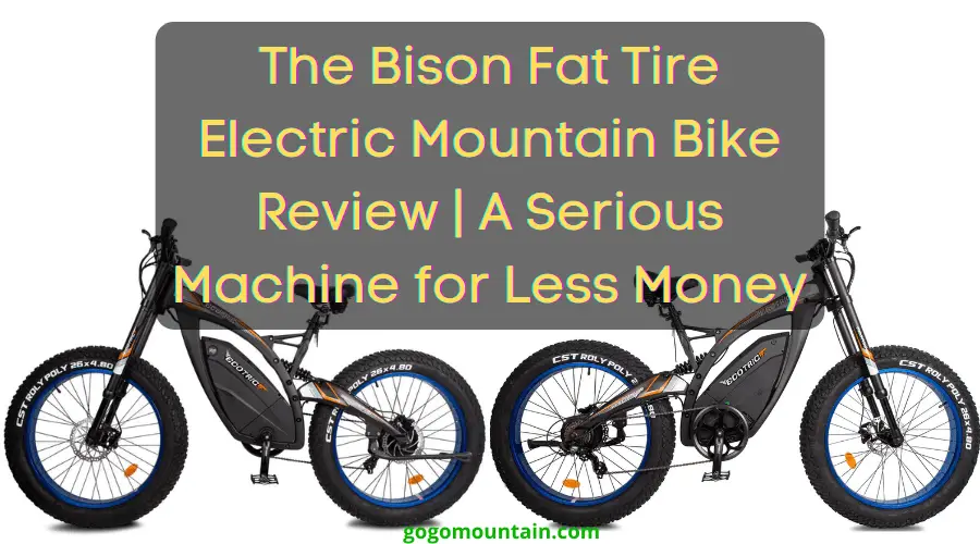 The Bison Fat Tire Electric Mountain Bike Review