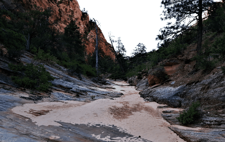 Best Hiking Trails In Zion National Park