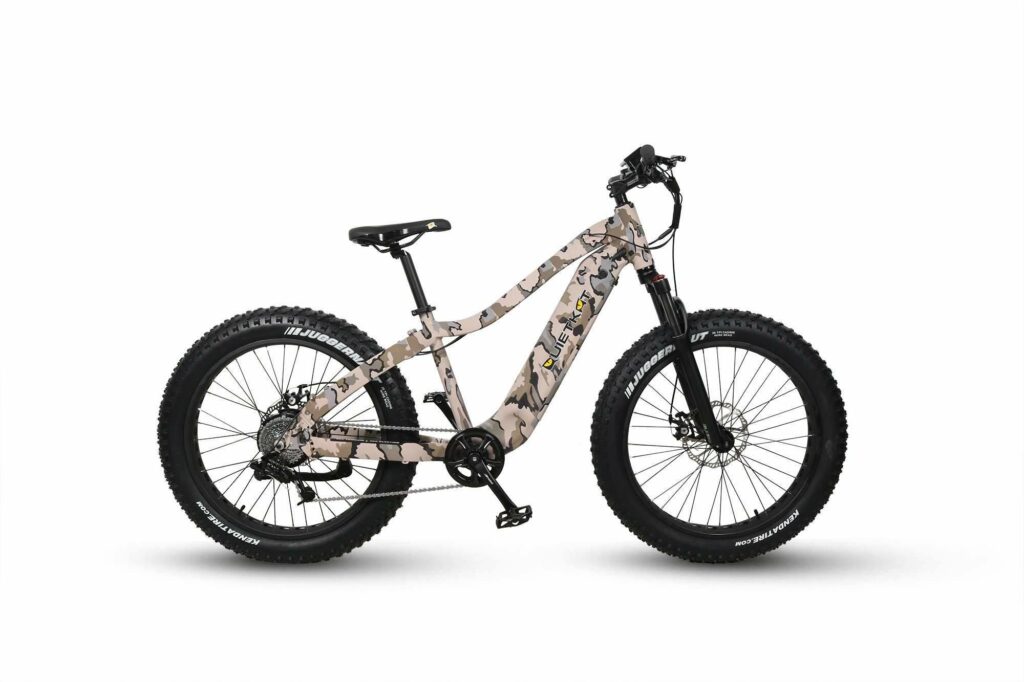 Quiet Cat Electric Hunting Bike Review