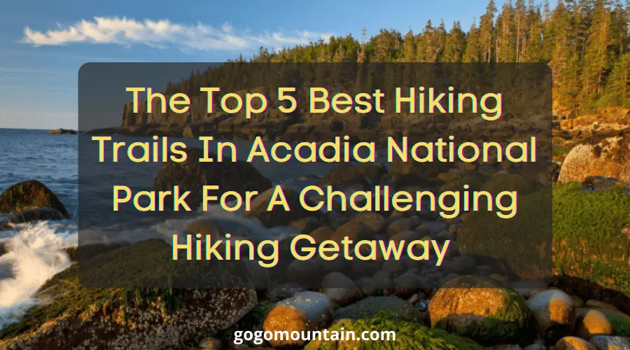 Hiking Trails in Acadia National Park