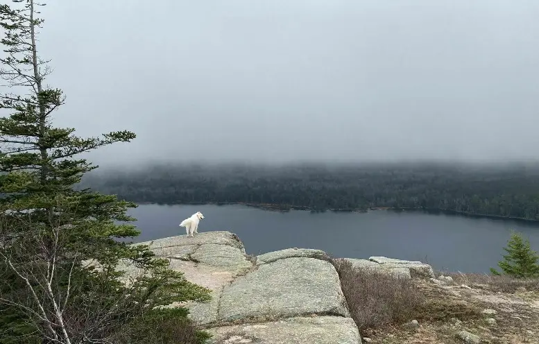 Best Hiking Trails In Acadia National Park