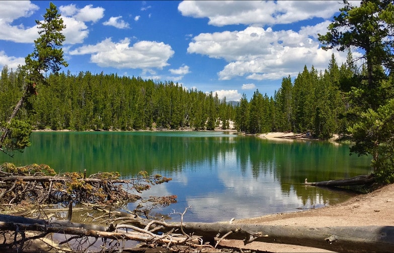 Best Hiking Trails In Yellowstone National Park
