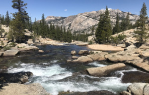 Best Hiking Trails In Yosemite National Park