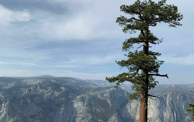 Best Hiking Trails In Yosemite National Park