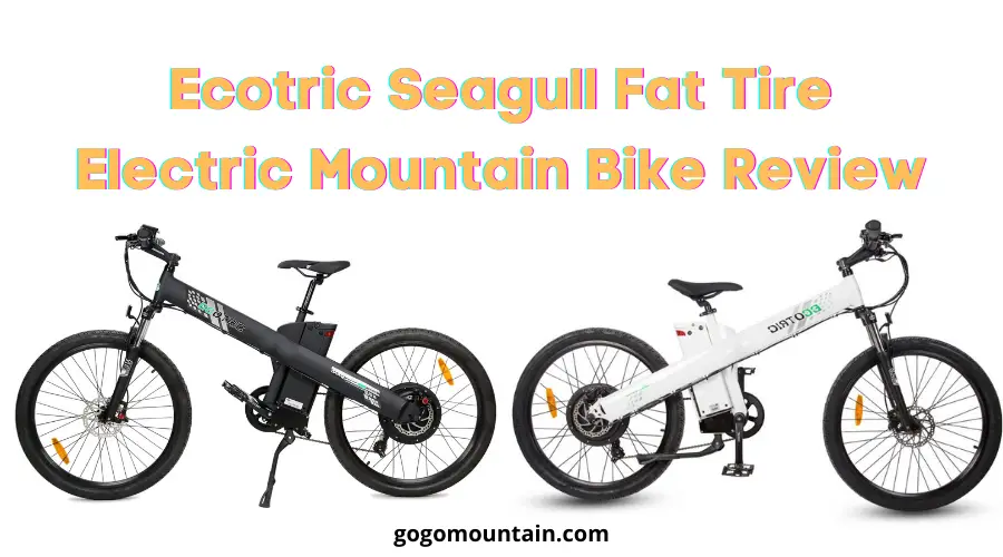 Ecotric Seagull Fat Tire Electric Mountain Bike Review