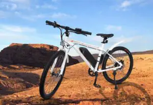 Ecotric Vortex Fat Tire Electric Mountain Bike Review