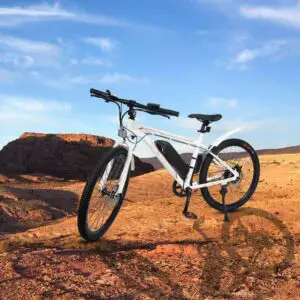 Ecotric Vortex Fat Tire Electric Mountain Bike Review