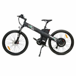 Ecotric Seagull Fat Tire Electric Mountain Bike Review